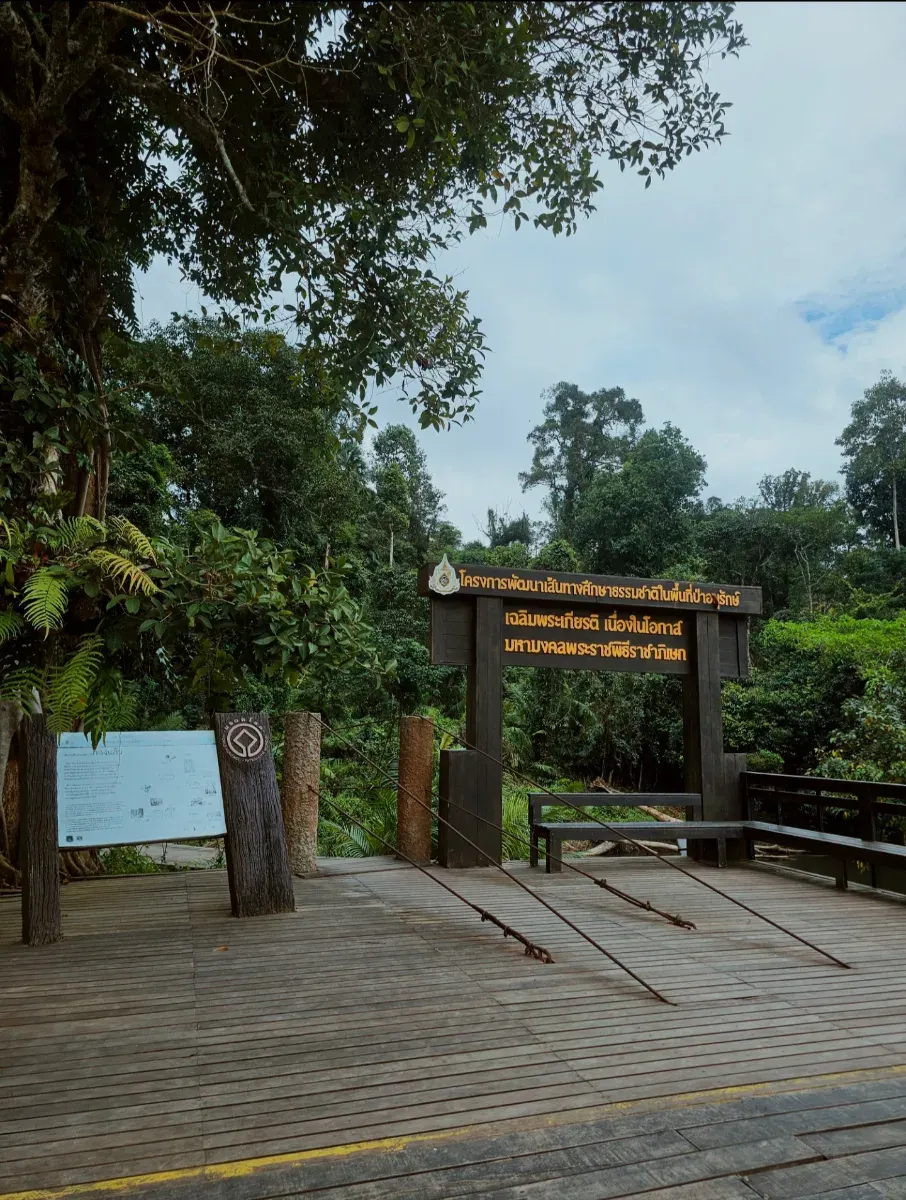 สะพานเส้นทางที่1