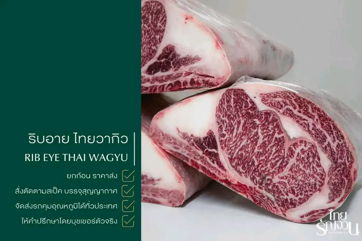 เนื้อริบอายวากิวไทยรัญจวน-ThaiRanjuanwagyu