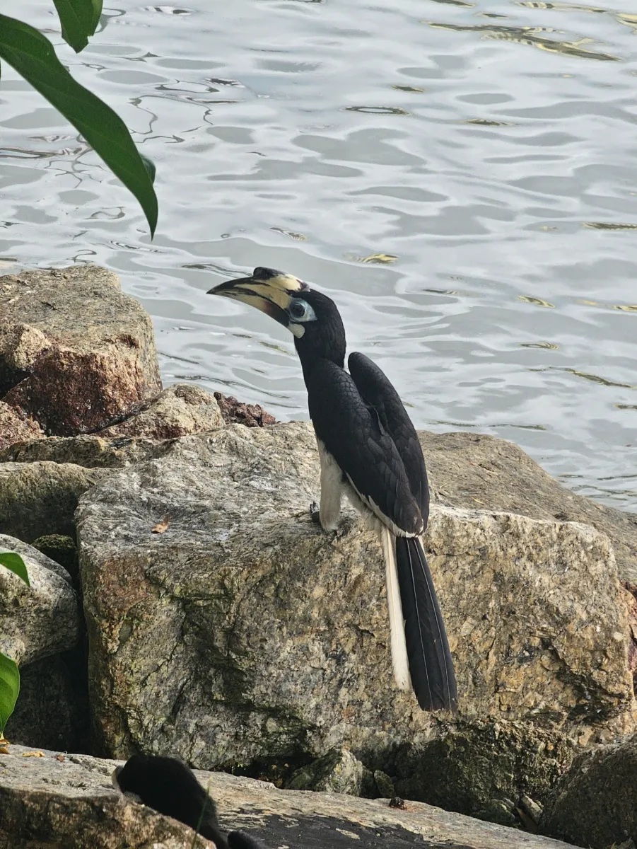 รีวิวเที่ยวเกาะปังเกาะ (Pangkor Island) สวรรค์แห่งความสงบปลอดภาษีของมาเลเซีย - ภาพที่ 4
